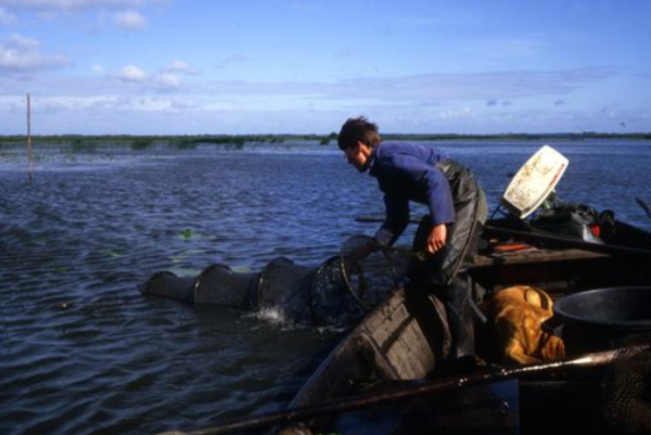 [Fiche d’inventaire] Pratiques et savoir-faire des pêcheurs du lac de Grand-Lieu